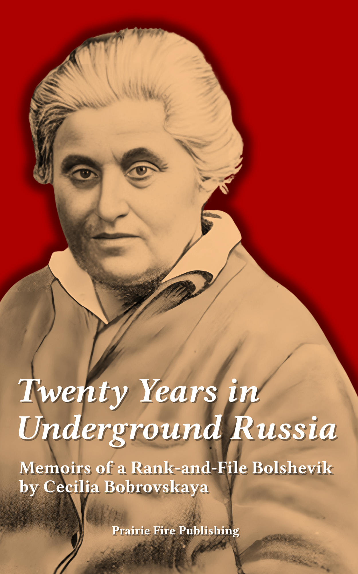Twenty Years in Underground Russia